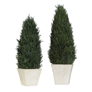 Picture of CYPRESS CONE TOPIARIES SET/2