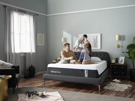 Show products in category Mattresses By Type Picture for category Mattresses By Type