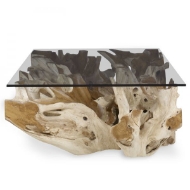 Picture of CENTER ROOT COFFEE TABLE