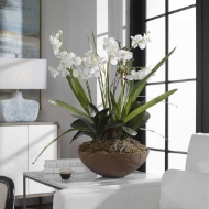 Picture of MOTH ORCHID PLANTER