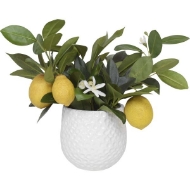 Picture of POSITANO LEMON ACCENT