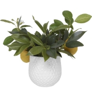 Picture of POSITANO LEMON ACCENT