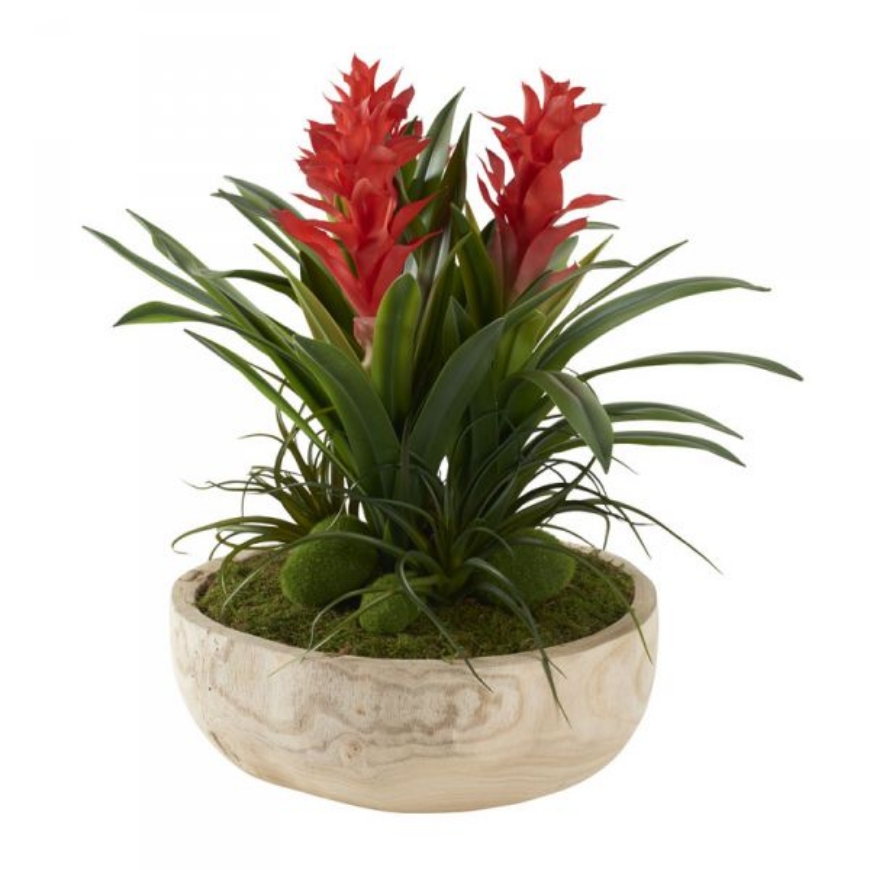 Picture of RED GINGERS WITH MOSS STONES IN WOODEN BOWL
