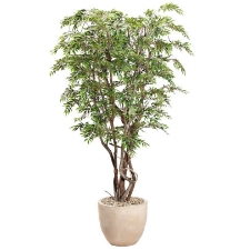 Picture for category Foliage