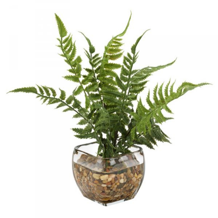 Picture of LEATHER FERN IN GLASS CUBE