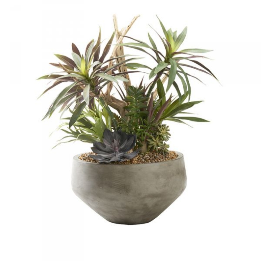Picture of PURPLE/GREEN YUCCA BRANCHES WITH GHOSTWOOD & IN CEMENT BOWL